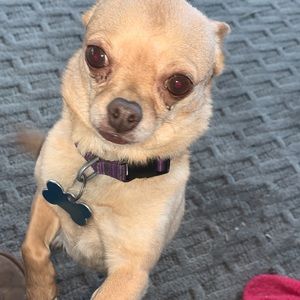 Meet your Posher, Fatima